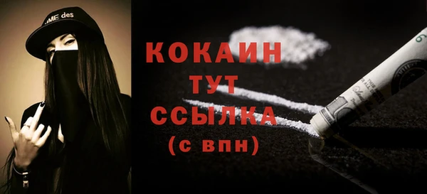 ешки Арсеньев