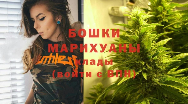 ешки Арсеньев