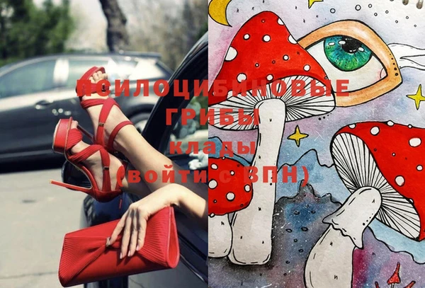 ешки Арсеньев
