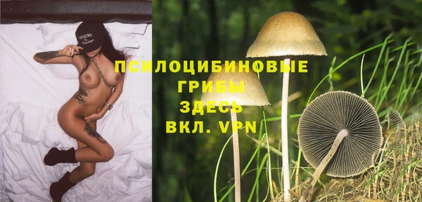 mix Армянск