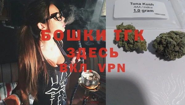 ешки Арсеньев
