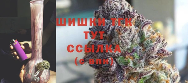 ешки Арсеньев